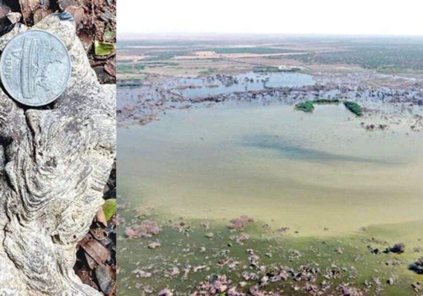 Impact of Massive Meteorite on Indus Valley Civilization Uncovering Ancient Impact of Massive Meteorite on Indus Valley Civilization Uncovering Ancient