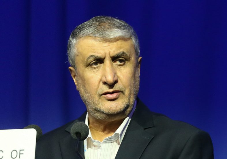 Iran nuclear program to continue despite sanctions Iran to follow own nuclear path – top energy official — RT World News