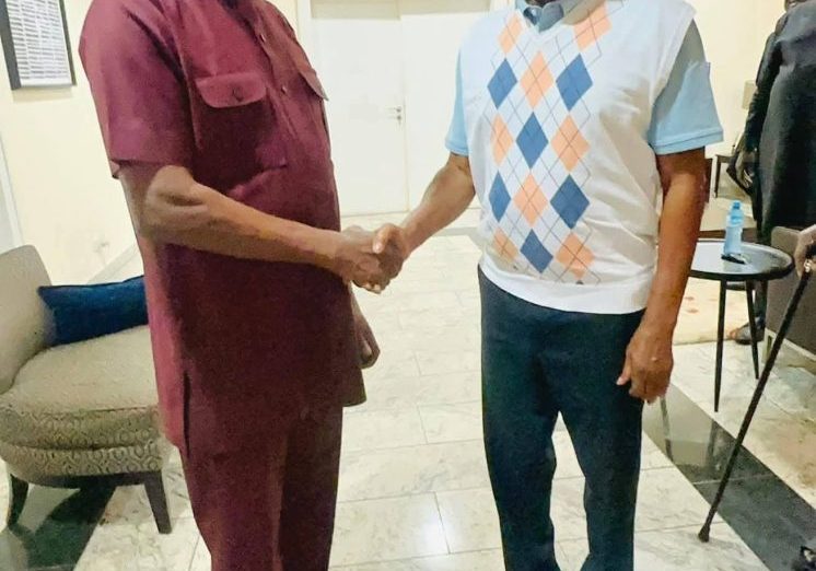 2027: Goodluck Jonathan meets ADC Chairman, David Mark