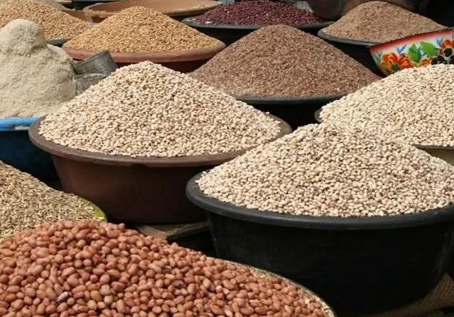 Grain production: Nigerian farmers appeal for subsidy after heavy losses in 2025