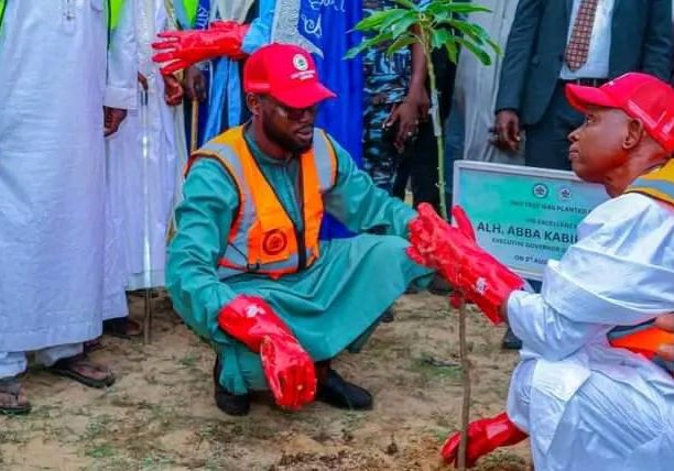Kano Governor Launches 5.5M Tree Drive Against Desert Encroachment Kano govt inaugurates distribution of 5.5million tree seedlings — Daily Nigerian