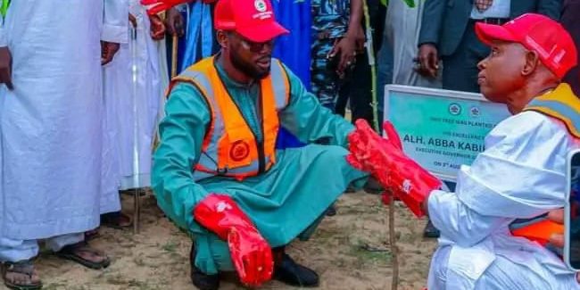 Kano govt inaugurates distribution of 5.5million tree seedlings — Daily Nigerian