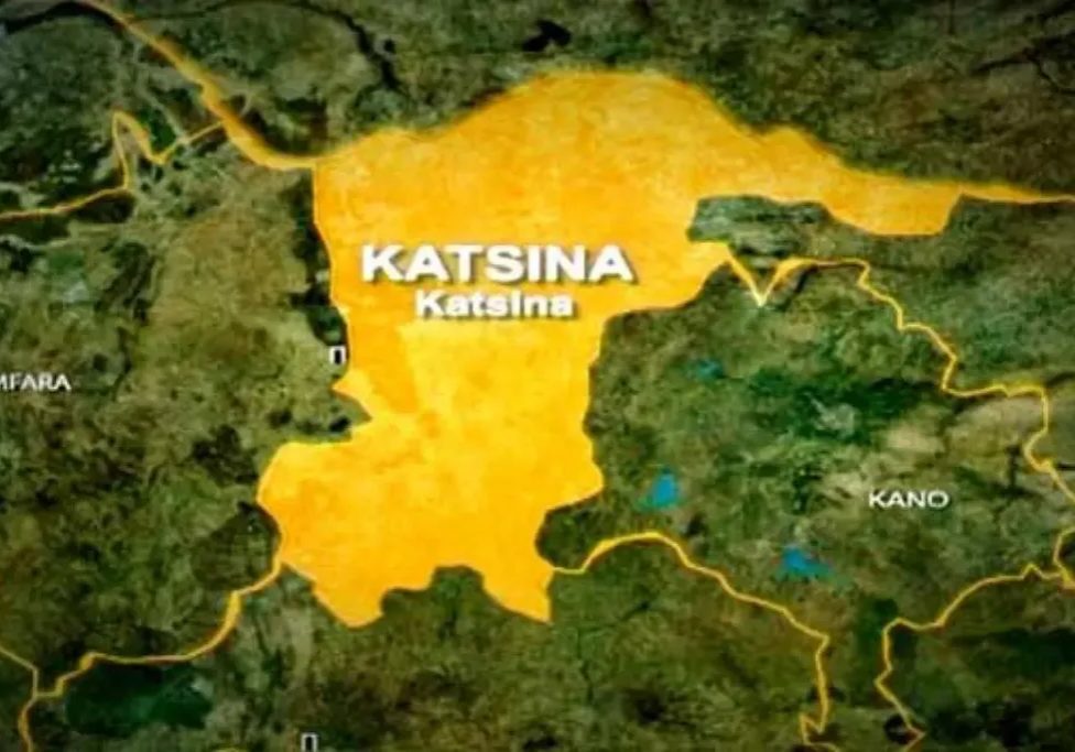 Katsina Schools Licenses Withdrawn Effective August 13 Katsina govt revokes licenses of all private, community schools