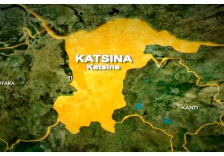 Insecurity still threatens 26 LGAs in Katsina - Radda