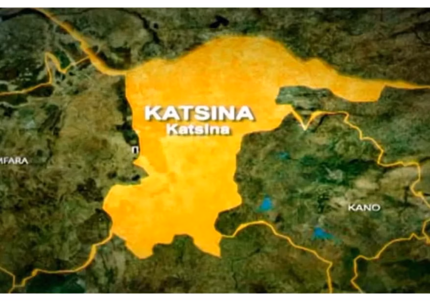 Insecurity still threatens 26 LGAs in Katsina - Radda