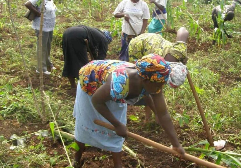 Kebbi farmers traders decry extortion by security operatives Kebbi farmers traders decry extortion by security operatives