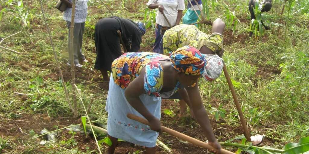 Kebbi farmers traders decry extortion by security operatives Kebbi farmers traders decry extortion by security operatives