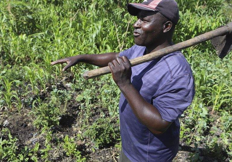 Kenya Farmers Turn Away from Industrial Farming Methods Amid Soil Kenya Farmers Turn Away from Industrial Farming Methods Amid Soil