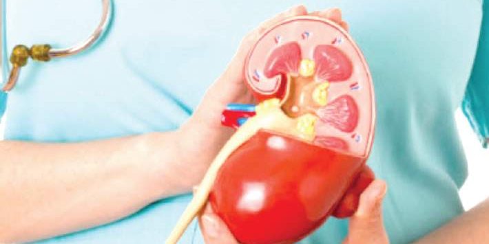 Kidney Failure Prevention: 10 Lifestyles to Avoid and 5 Healthy