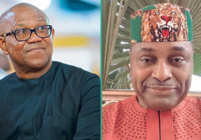 LP crisis: Abure faction deceived Peter Obi - Kenneth Okonkwo