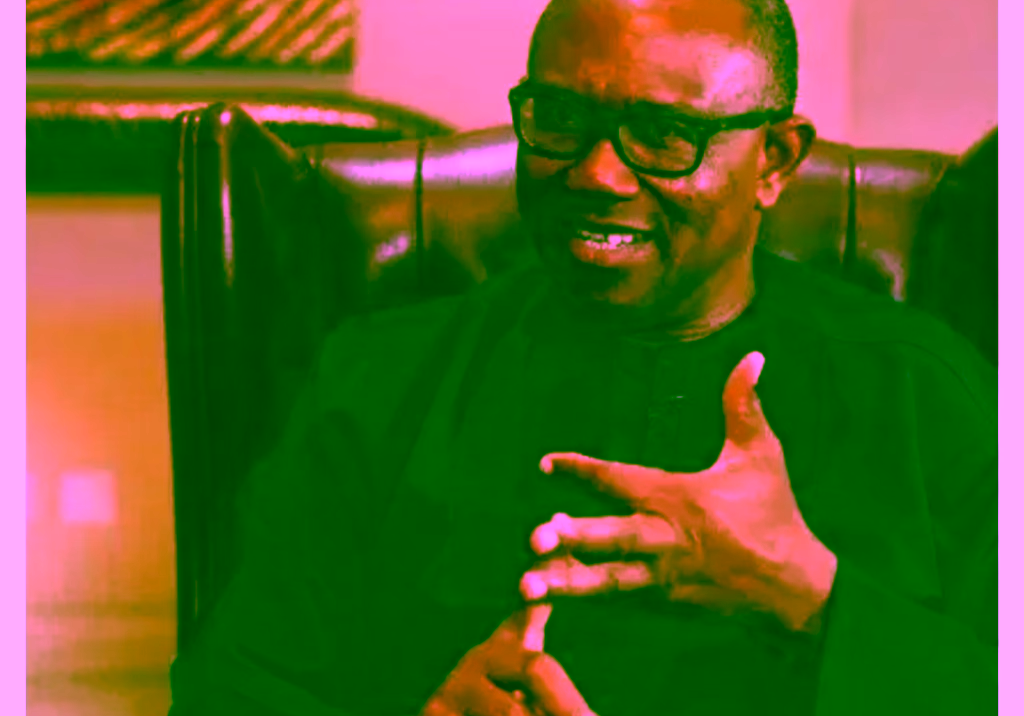 Labour Party will correct past mistakes in 2027 - Peter Labour Party will correct past mistakes in 2027 - Peter Obi