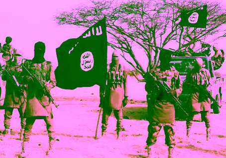 Reps decry rising Boko Haram attacks on military formations