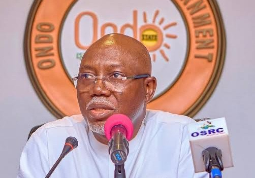 LG autonomy implementation must be within confines of law -- Aiyedatiwa — Daily Nigerian