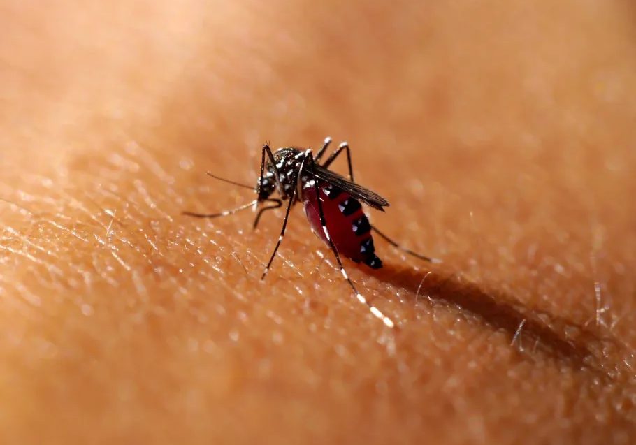 24.47 million Nigerians test positive for malaria - Federal Health Report