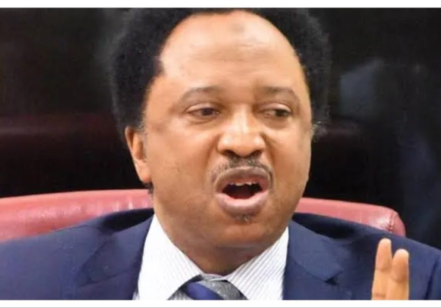 'Nobody has monopoly of madness' - Shehu Sani reacts to Mali, Burkina Faso visa ban on US