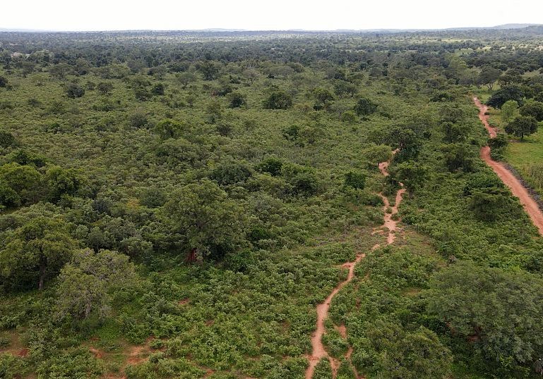 Mali military escorts vehicles after militants attack fuel trucks