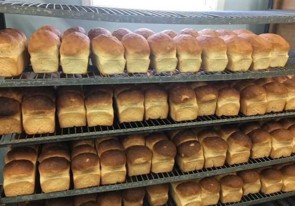 Master bakers caterers in Nigeria to begin nationwide strike Feb Master bakers caterers in Nigeria to begin nationwide strike Feb
