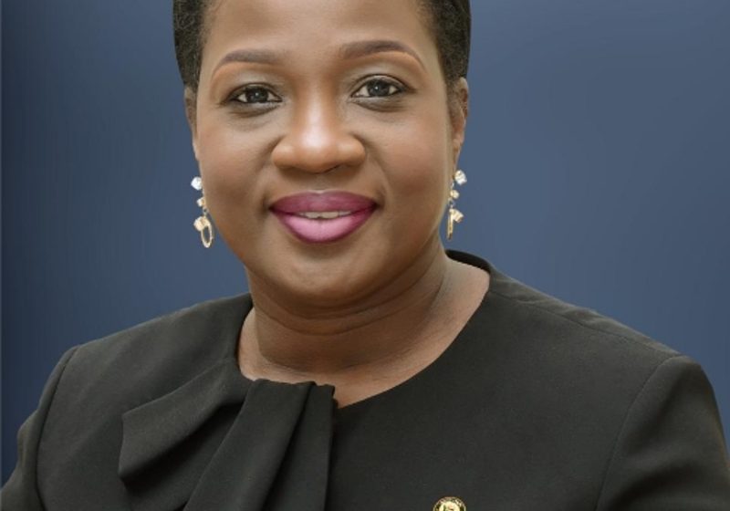 Mental Health: Commissioner raises alarm as Ogun records over 10,000 patients in six months