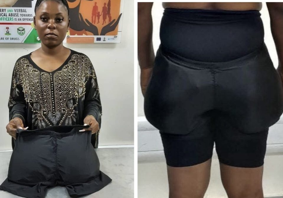 Methamphetamine seizure: NDLEA arrests woman Businesswoman conceals 1.40kg meth in butt pad underwear — Daily Nigerian