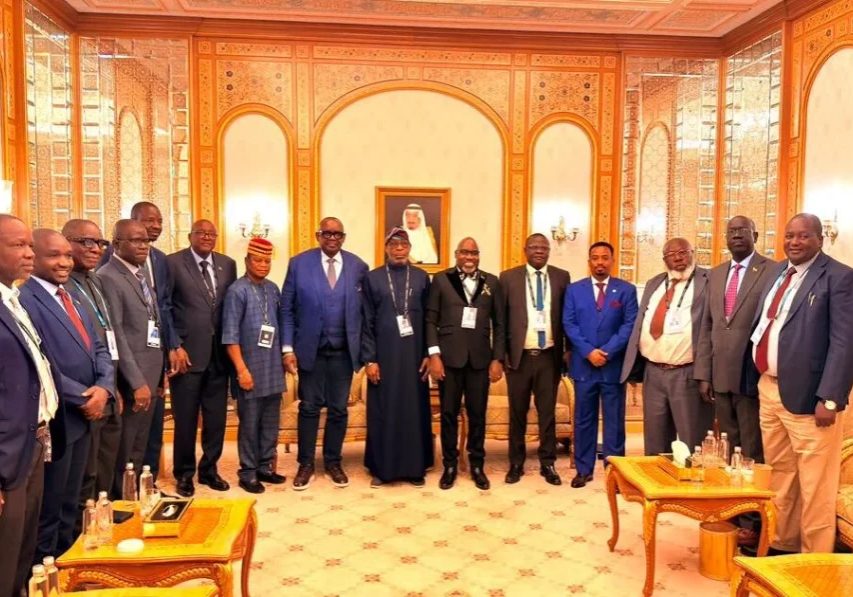 Alake Re-elected Chairman of African Minerals Strategy Group