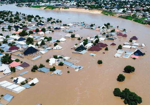 'We are still homeless, hungry,' Mokwa flood victims lament — Daily Nigerian
