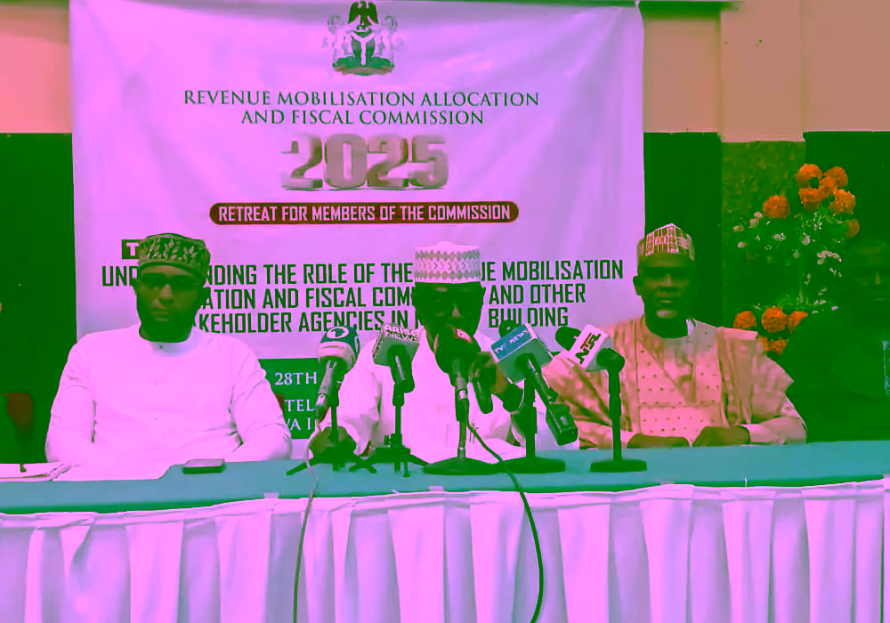 Monitoring: RMAFC to establish National Revenue Dashboard