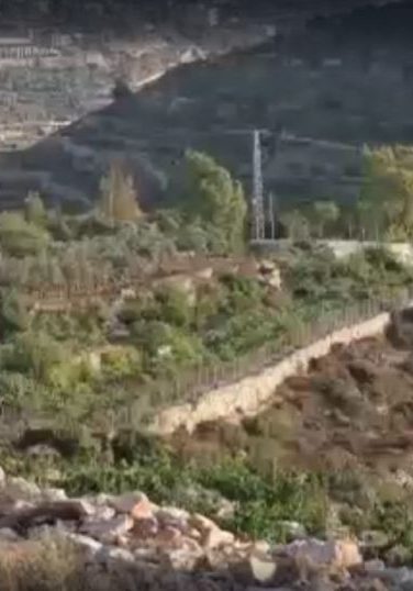Moroccan humanitarian agency provides support for Palestinian farmers