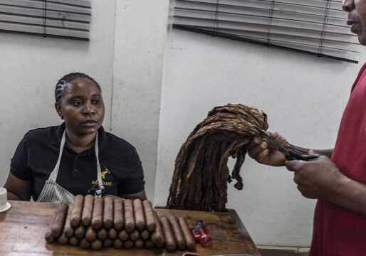 Mozambican Cigars Make Their Mark Mozambican Cigars Make Their Mark