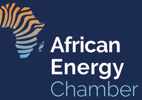 UK’s Withdrawal From Mozambique LNG Funding Is A Blow To African Energy Justice — AEC • Channels Television