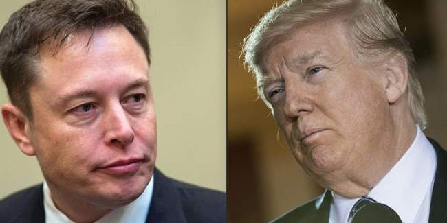 Musk to Intervew Trump Live on X, Expected to Spread