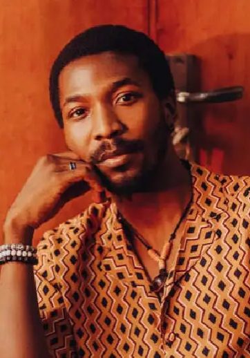 My family has done enough for Nigeria, I will not fight - Made Kuti