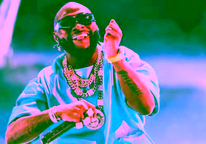 'My song was the President's ringtone' - Davido claims