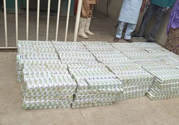 NAFDAC destroys 491, 000 seized tramadol tablets in Kano — Daily Nigerian