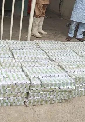 NAFDAC destroys 491, 000 seized tramadol tablets in Kano — Daily Nigerian