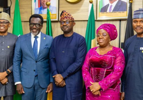 NAICOM, Interior Minister Sign Agreement To Tackle Travel Insurance Bottlenecks • Channels Television