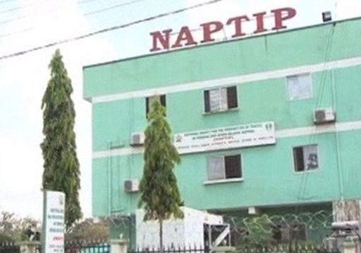NAPTIP rescued 470 human trafficking victims in Katsina — Daily NAPTIP rescued 470 human trafficking victims in Katsina — Daily