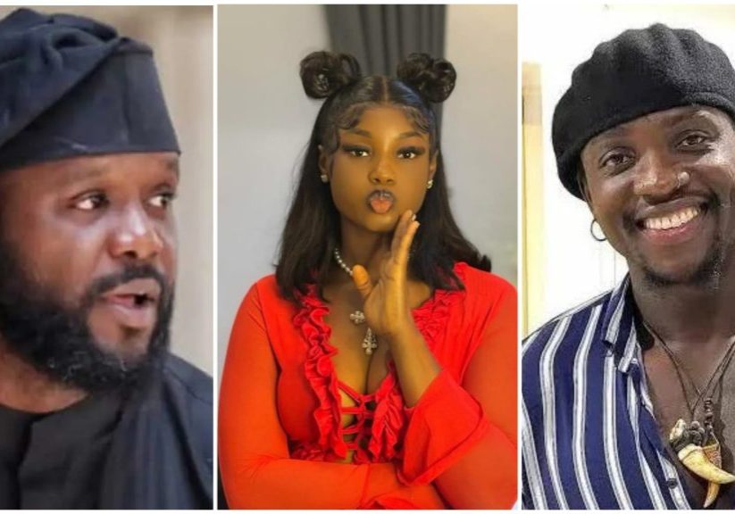 Seyi Tinubu, VDM, King Mitchy saga: NCC, NBC should sanction content creators —Akinlosotu