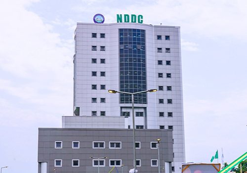NDDC Proposes ₦1.75trn 2025 Budget • Channels Television