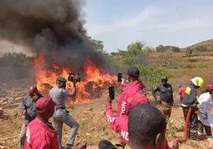 NDLEA Arrests 17 Suspects, Destroys 31,250kg Cannabis in Osun NDLEA Arrests 17 Suspects, Destroys 31,250kg Cannabis in Osun