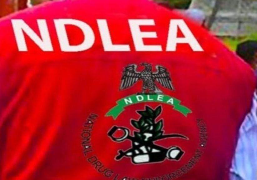 Kano: NDLEA arrests 36, recovers illicit drugs in Sallah operation