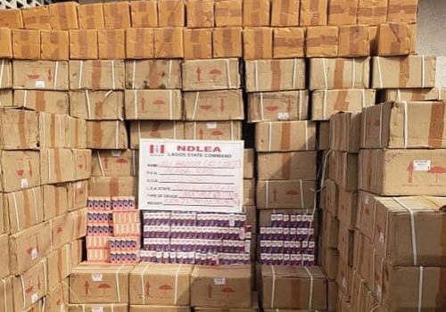 NDLEA busts illicit drug warehouse, recovers N6.7bn opioids — Daily Nigerian