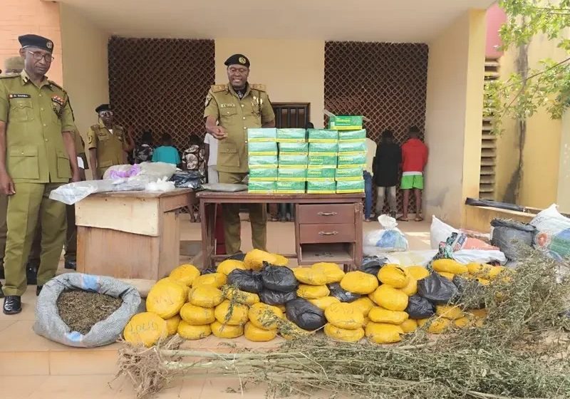 NDLEA seizes N777m worth of illicit drugs in Edo — Daily Nigerian