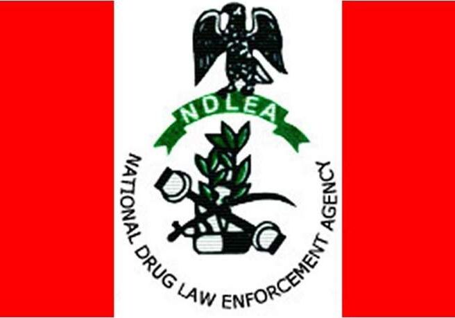 NDLEA Partners with Rano Community to Combat Drug Abuse NDLEA Partners with Rano Community to Combat Drug Abuse