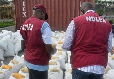 NDLEA Seizes Drugs Worth Millions Concealed in Strange Items NDLEA intercepts U.S., UK, DRC-bound illicit drug consignments at Lagos airport — Daily Nigerian