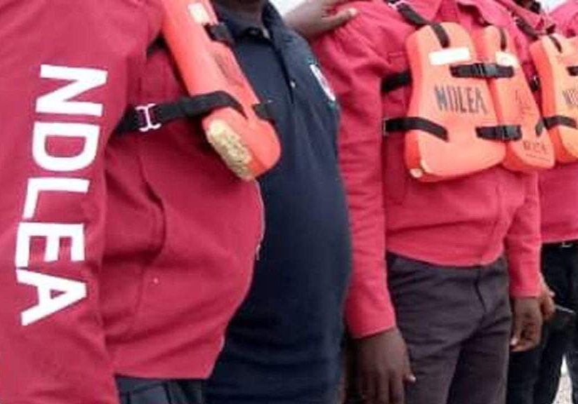 NDLEA arraigns 30 year old man for alleged drug possession — Daily NDLEA arraigns 30 year old man for alleged drug possession — Daily