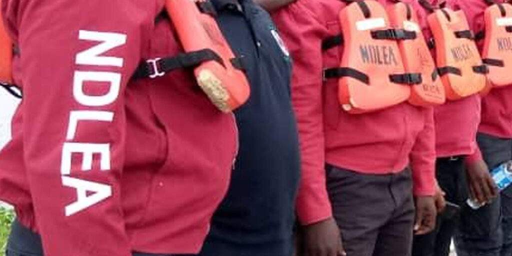 NDLEA arraigns 30 year old man for alleged drug possession — Daily NDLEA arraigns 30 year old man for alleged drug possession — Daily