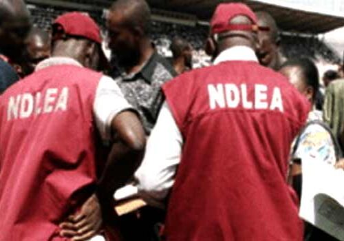 NDLEA arrests 103 suspects seize 1458 kg of drugs in NDLEA arrests 103 suspects seize 1458 kg of drugs in