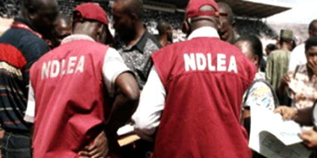 NDLEA arrests 103 suspects seize 1458 kg of drugs in NDLEA arrests 103 suspects seize 1458 kg of drugs in