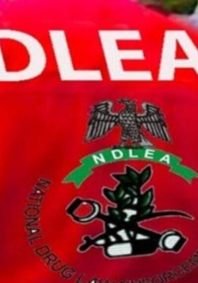 NDLEA arrests Angolan businessman at Kano airport for cocaine trafficking