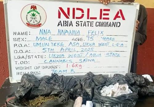 NDLEA arrests suspects with skunk and tramadol in raids nationwide NDLEA arrests 75-year-old for drug peddling in Abia — Daily Nigerian